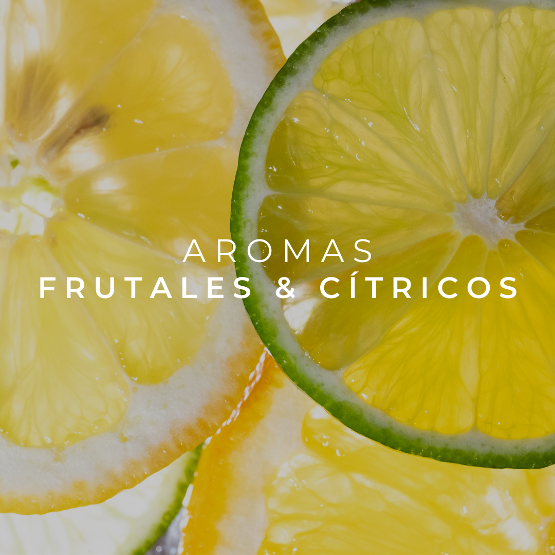 Conoce más